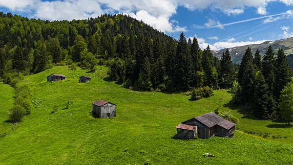 Foto - Türkiye'nin saklı cenneti: Kumanında Yaylası
