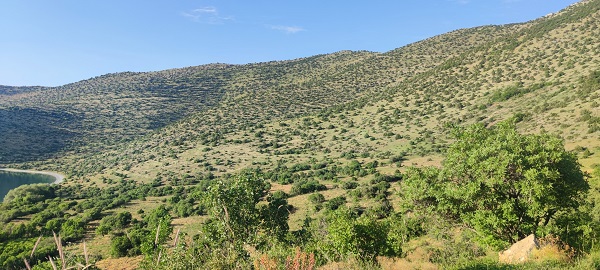 Foto - Türkiye'nin saklı kalan cenneti! Bu koylar görenleri mest ediyor