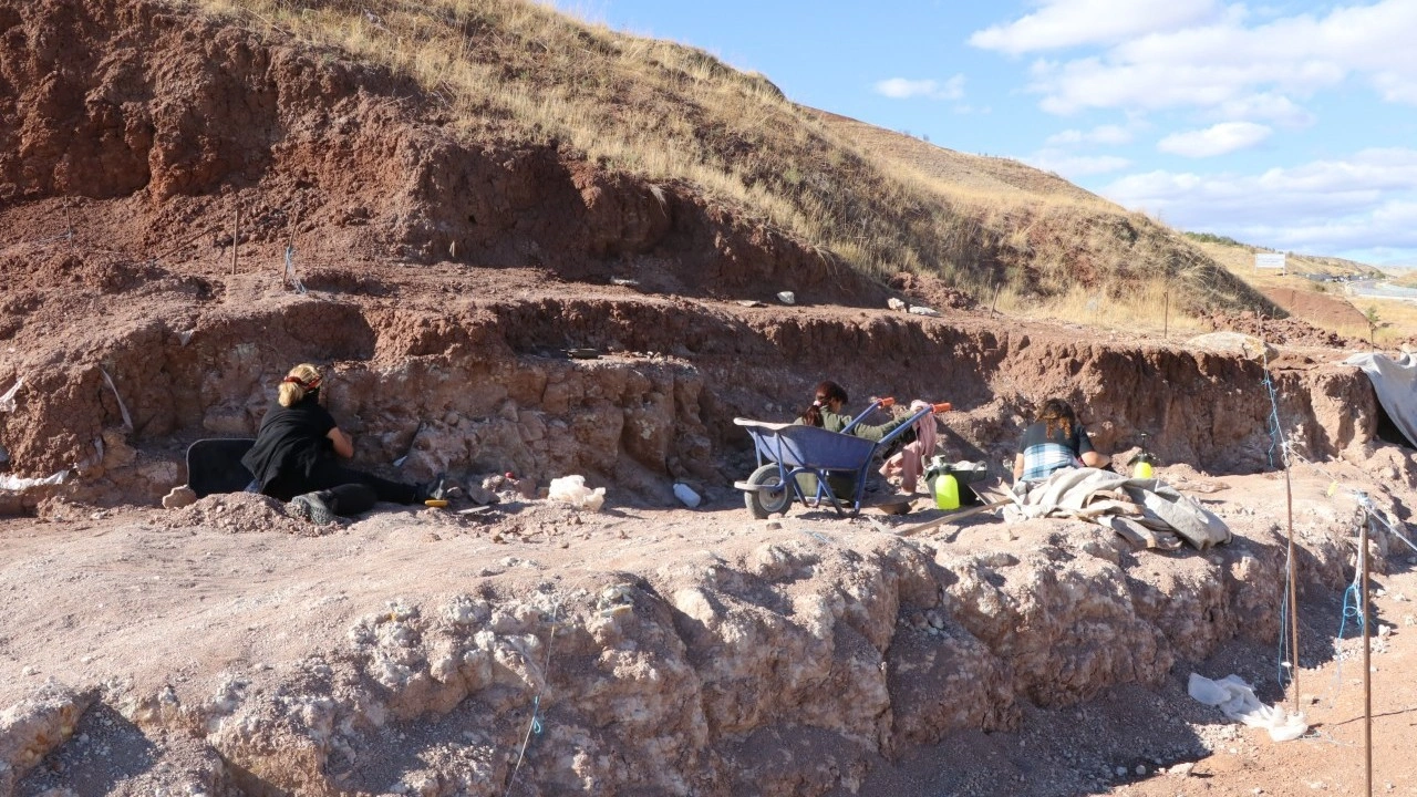 Türkiye'nin serengetisi Çankırı'da zürafa sürprizi