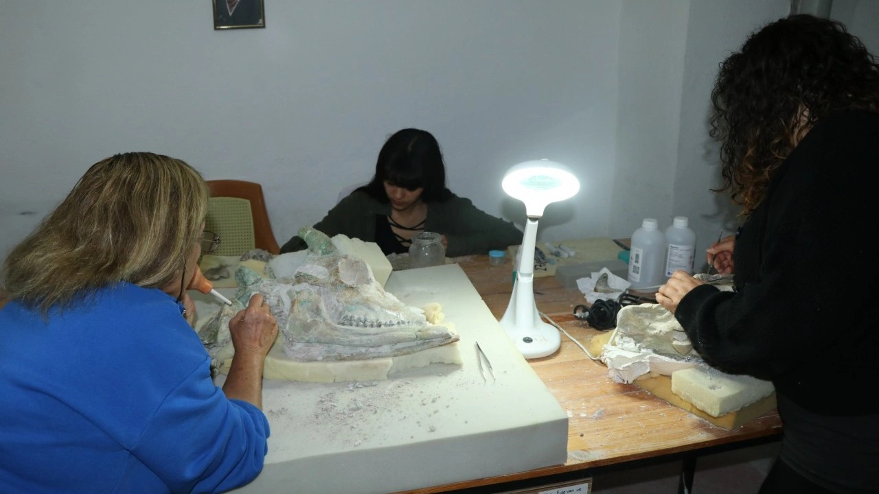 Foto - Türkiye'nin serengetisi Çankırı'da zürafa sürprizi