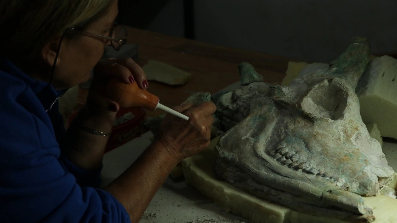 Foto - Türkiye'nin serengetisi Çankırı'da zürafa sürprizi