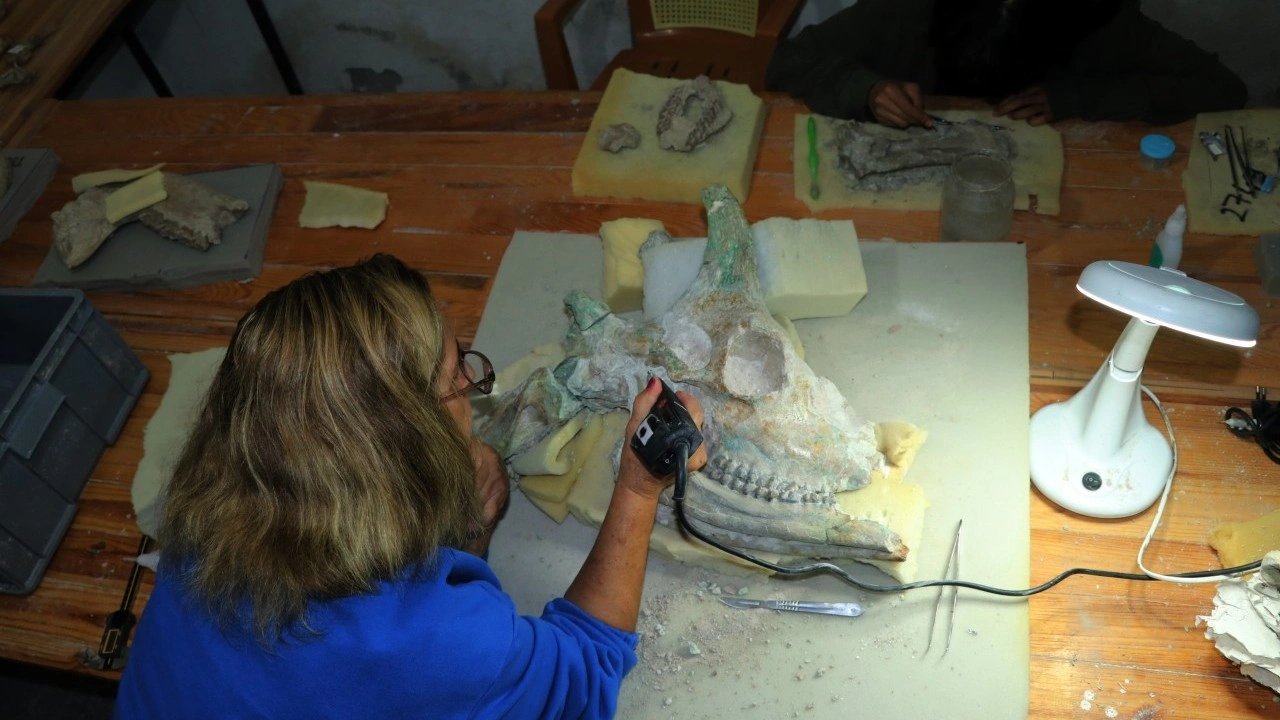 Foto - Türkiye'nin serengetisi Çankırı'da zürafa sürprizi