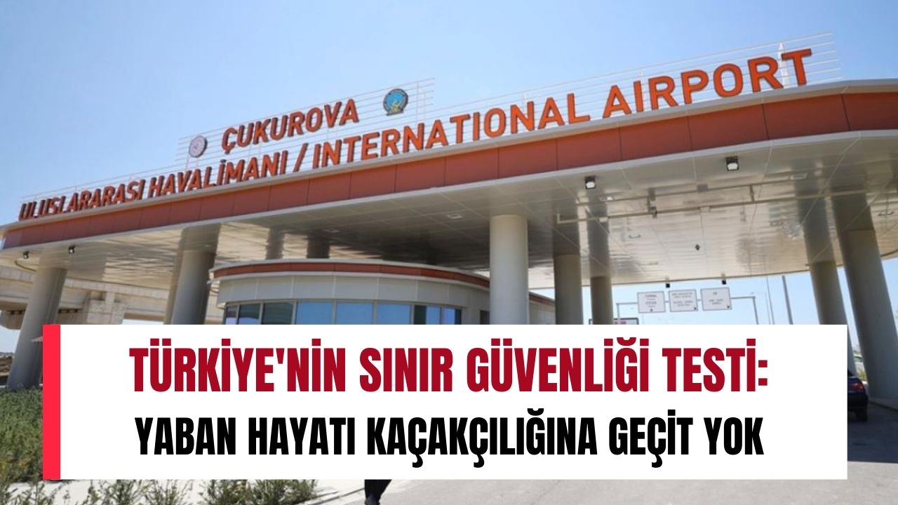 Türkiye'nin sınır güvenliği testi: Yaban hayatı kaçakçılığına geçit yok