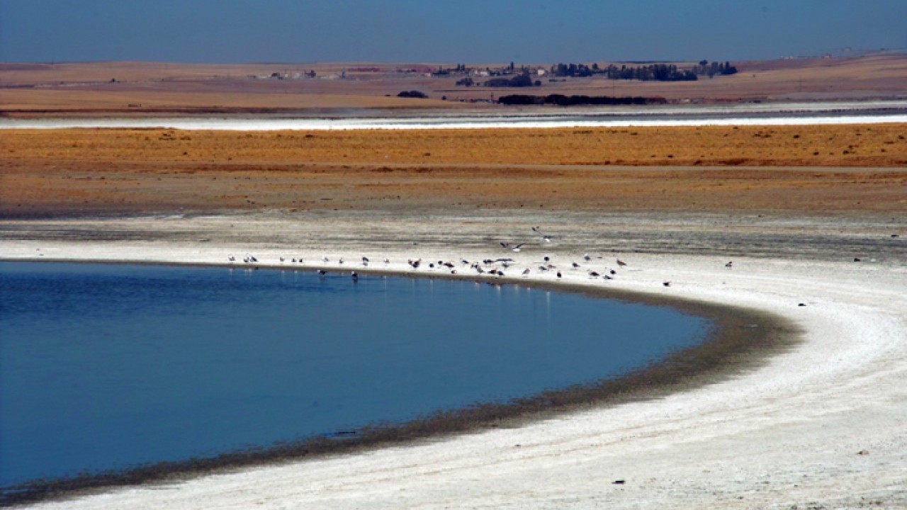 Foto - Türkiye'nin tam ortasından fışkırıyor! Yerin altında tonlarcası var, 50 ülke peşine düştü