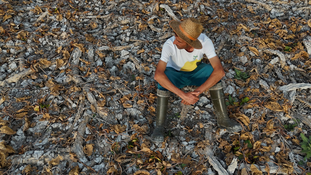 Foto - Türkiye’nin tatlı su cenneti can çekişiyor! Artık adalara motorla değil yürüyerek gidiyorlar