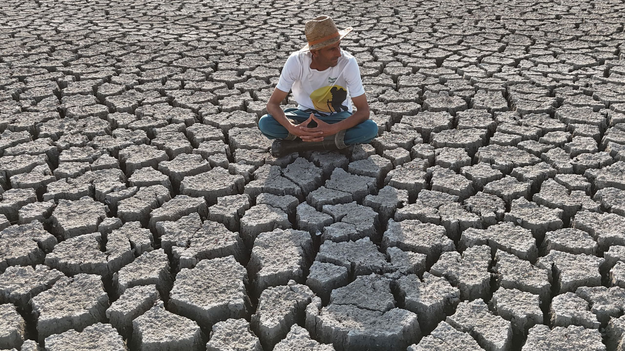 Türkiye’nin tatlı su cenneti can çekişiyor! Artık adalara motorla değil yürüyerek gidiyorlar