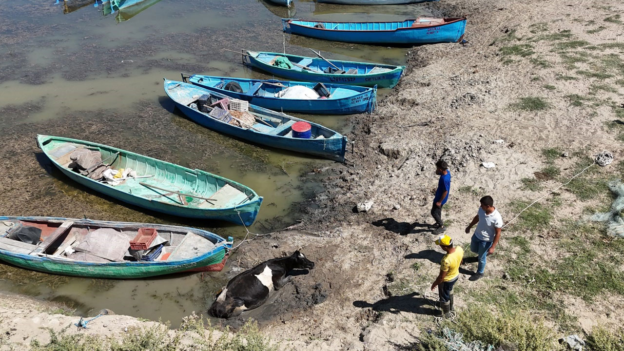 Foto - Türkiye’nin tatlı su cenneti can çekişiyor! Artık adalara motorla değil yürüyerek gidiyorlar