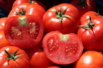 Foto - Türkiye'nin tonlarca domatesi çöp olabilir! Ölücüler ortaya çıktı