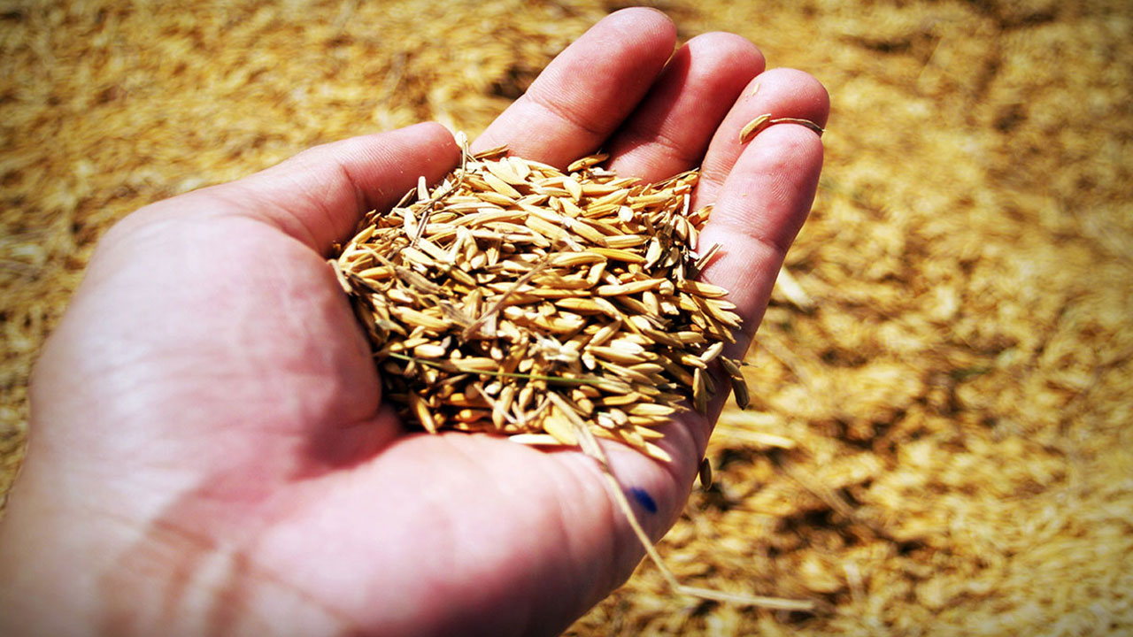 Foto - Türkiye'nin topraklarına göz diktiler: Saldırı maalesef o kentten başladı