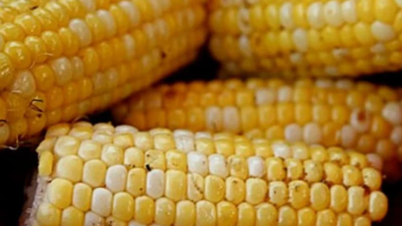 Foto - Türkiye'nin topraklarına göz diktiler: Saldırı maalesef o kentten başladı