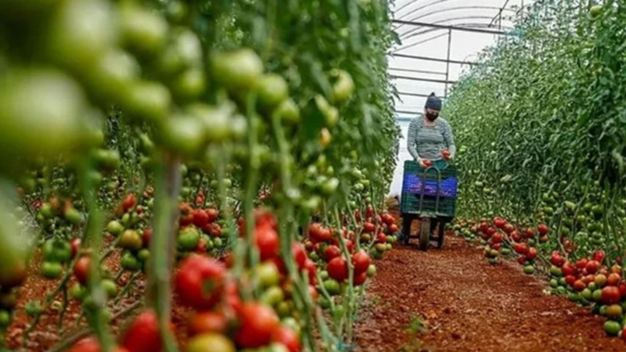 Foto - Türkiye'nin topraklarına göz diktiler: Saldırı maalesef o kentten başladı