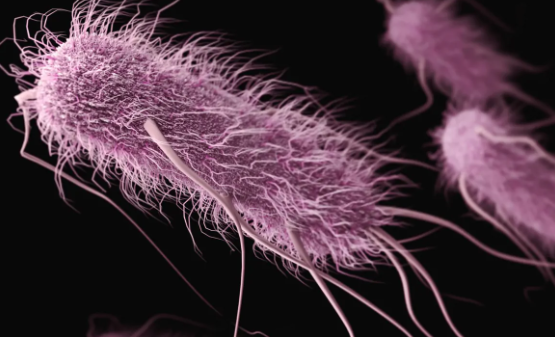 Foto - Türkiye'nin ünlü sucuk markasında enfeksiyon tespit edildi! Marketlerden toplatılmaya başlandı