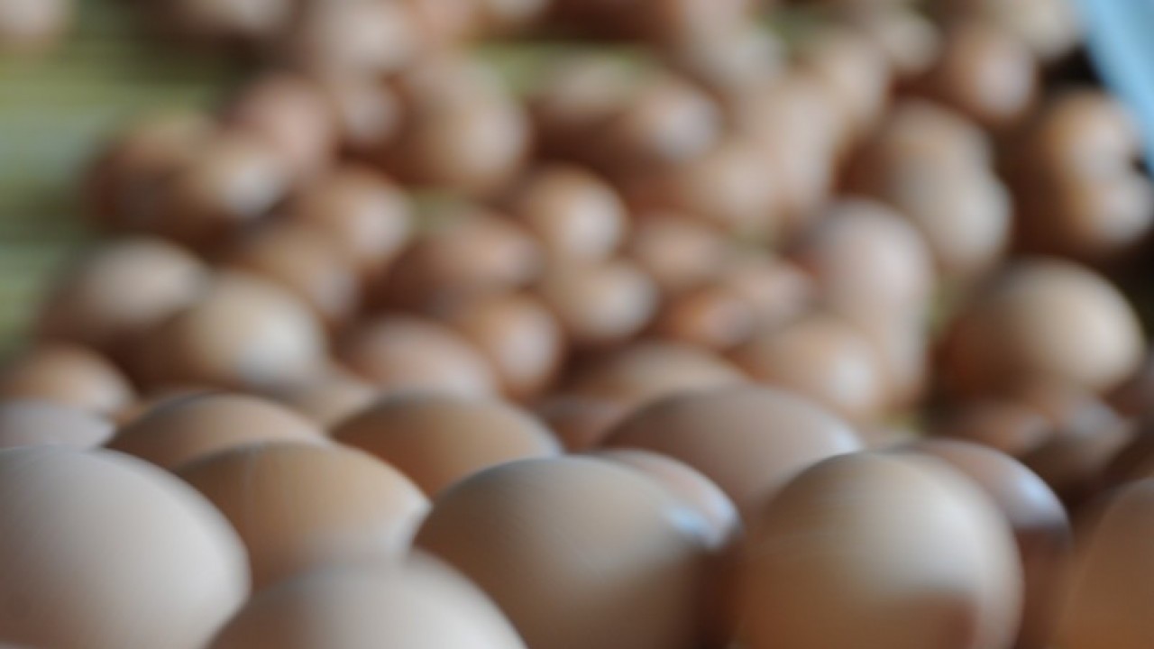 Foto - Türkiye'nin ünlü yumurta markasına kayyım atandı