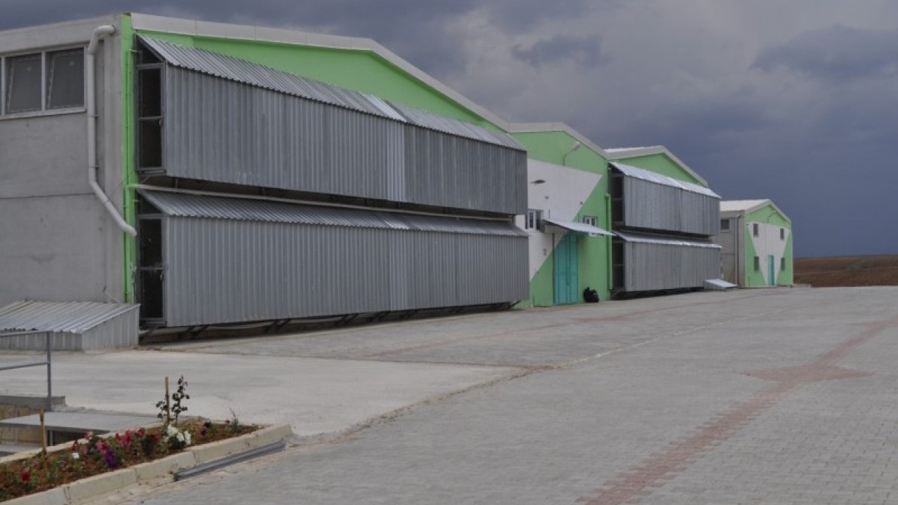 Foto - Türkiye'nin ünlü yumurta markasına kayyım atandı