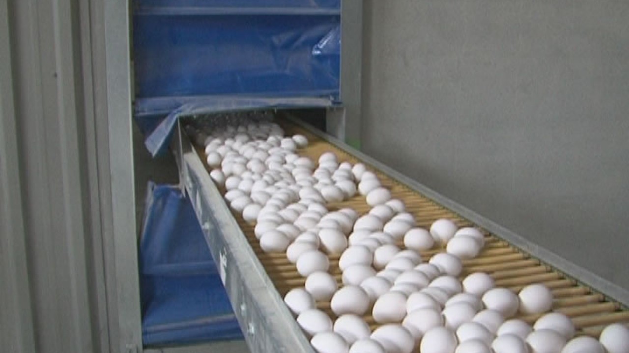 Foto - Türkiye'nin ünlü yumurta markasına kayyım atandı