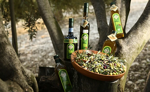 Foto - Türkiye'nin ünlü zeytinyağı markası satıldı! Yeni sahipleri herkesi şaşırttı