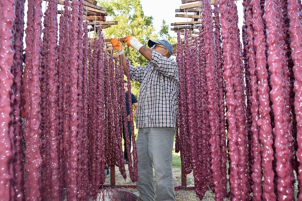 Foto - Türkiye'nin usta şeflerindendi... Bakın köyüne yerleşip ne yaptı!