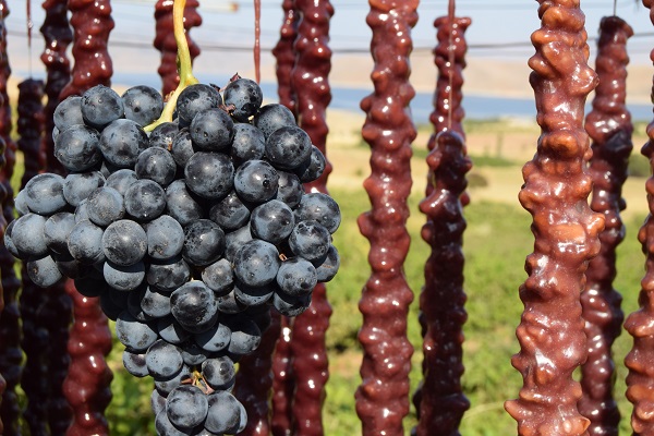 Foto - Türkiye'nin usta şeflerindendi... Bakın köyüne yerleşip ne yaptı!