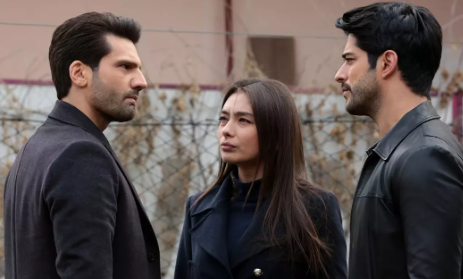 Foto - Türkiye'nin yapamadığını yapıyorlar! Kızılcık Şerbeti ve Yalı Çapkını dizilerini yasaklayacaklar