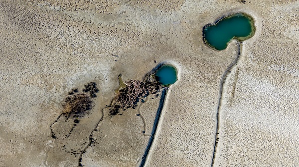 Foto - Türkiye'nin yedinci büyük gölü: Burdur Gölü
