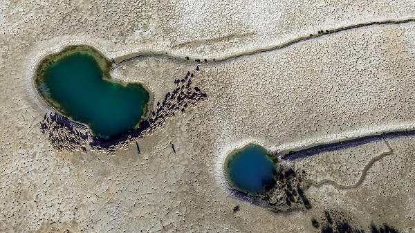 Foto - Türkiye'nin yedinci büyük gölü: Burdur Gölü