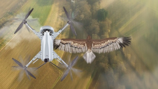 Foto - Türkiye'nin yeni İHA'sı Libya'da görüldü! Anında imha ediyor