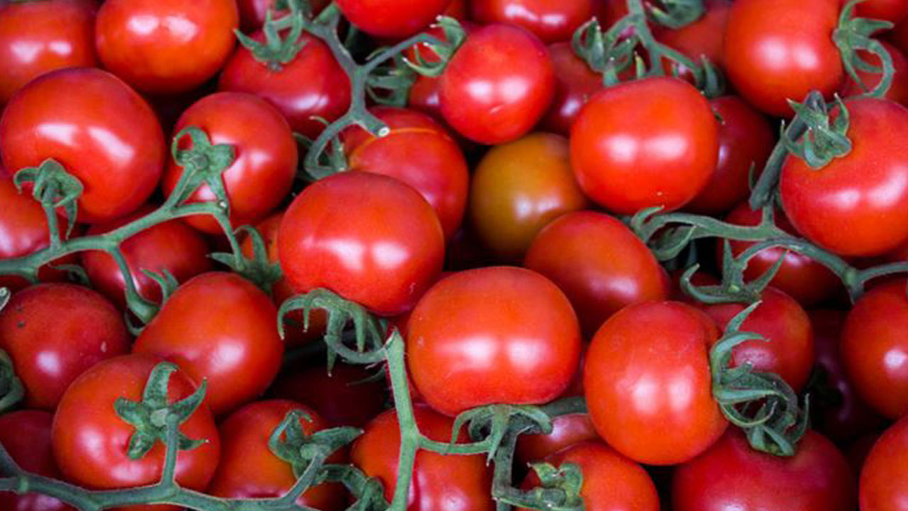 Foto - Türkiye’nin yeri belli oldu! İşte en çok sebze yetiştiren 10 ülke