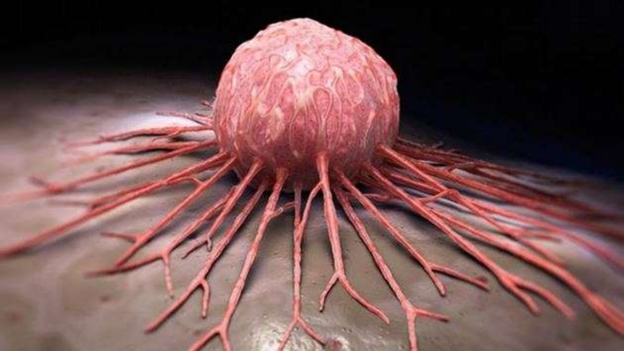 Foto - Türkiye’nin yüz akı Aziz Sancar resmen çıldırdı! Vah ki ne vah hocam