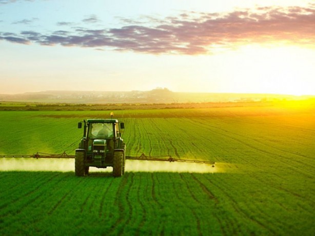 Foto - Türkiye'ye 50 milyar dolar girebilir! Yanlış duymadınız, tamı tamına 50 milyar dolar