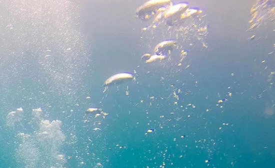 Foto - Ne petrol ne doğalgaz! Orada Türkiye'ye 600 yıl yetecek rezerv var... Resmen hazine, çıkarırsak herkes ihya olacak