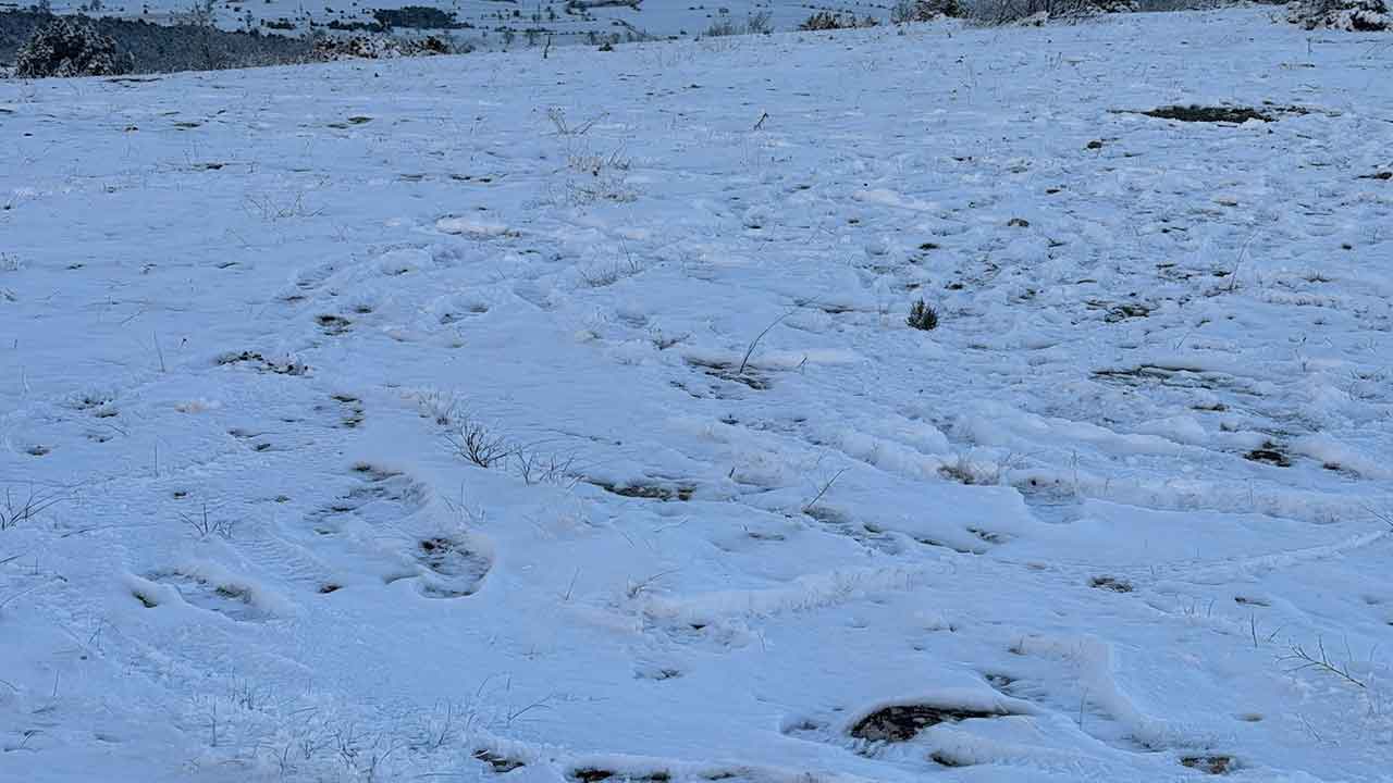 Türkiye'ye 80 yıl yetecek 40 milyon tonluk rezervden vazgeçildi: İşte sebebi...