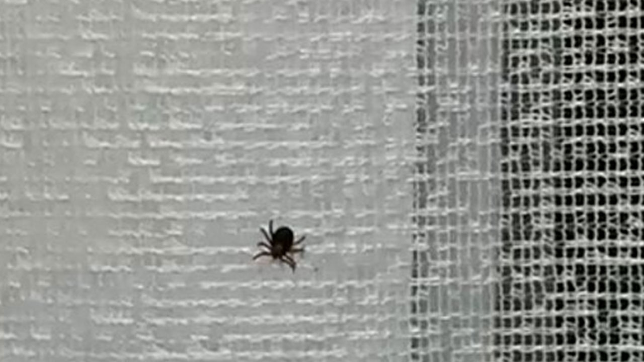 Foto - Türkiye'ye biyolojik saldırı: 'Halk korkudan sokağa çıkamaz oldu'