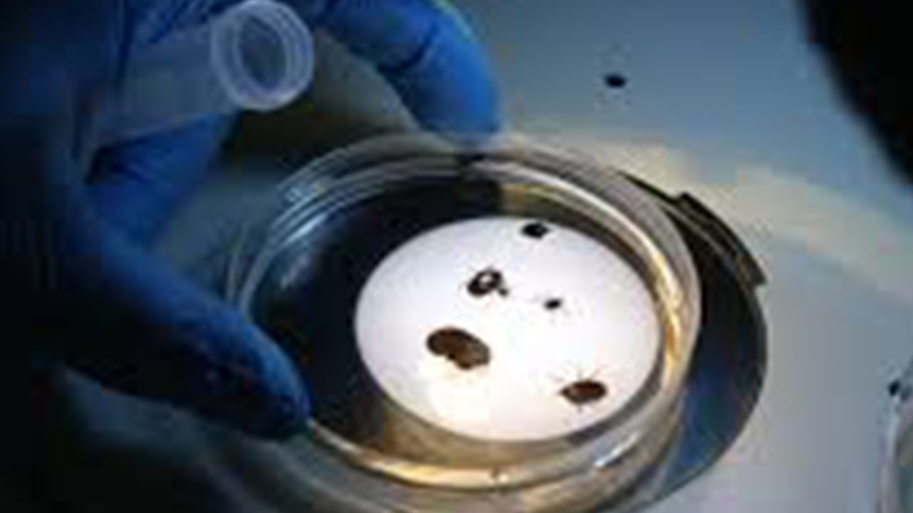 Türkiye'ye biyolojik saldırı: 'Halk korkudan sokağa çıkamaz oldu'