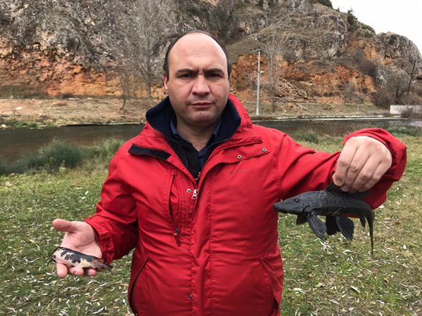 Foto - Türkiye'ye biyolojik saldırı mı? İstilacı türün Endonezya'dan Eskişehir'e getirildiği tespit edildi