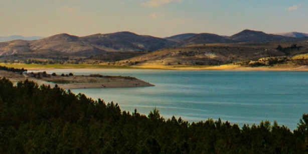 Foto - Türkiye'ye biyolojik saldırı şüphesi! Esrarengiz ABD'li göle kırmızı balık bırakırken yakalandı 
