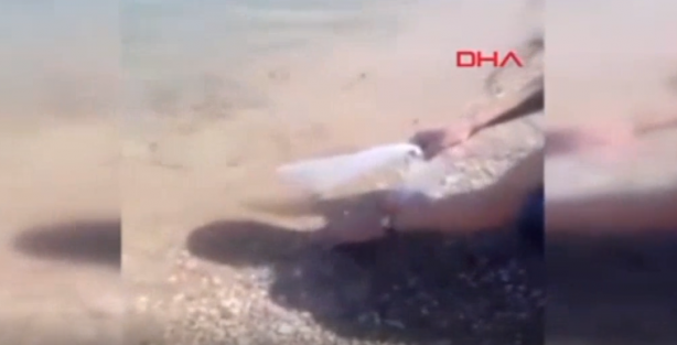 Foto - Türkiye'ye biyolojik saldırı şüphesi! Esrarengiz ABD'li göle kırmızı balık bırakırken yakalandı 