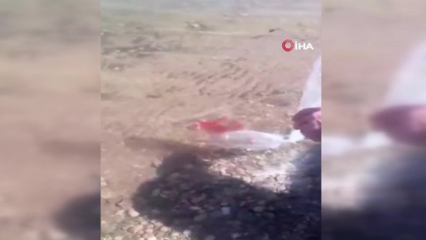 Foto - Türkiye'ye biyolojik saldırı şüphesi! Esrarengiz ABD'li göle kırmızı balık bırakırken yakalandı 