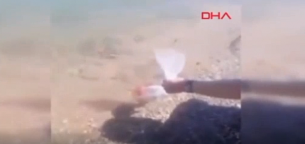 Foto - Türkiye'ye biyolojik saldırı şüphesi! Esrarengiz ABD'li göle kırmızı balık bırakırken yakalandı 