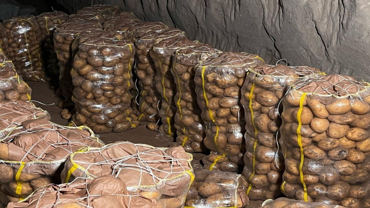 Foto - Türkiye’ye çok büyük şok! 2 bin tondan fazlaydı! Tamamı virüslü çıktı