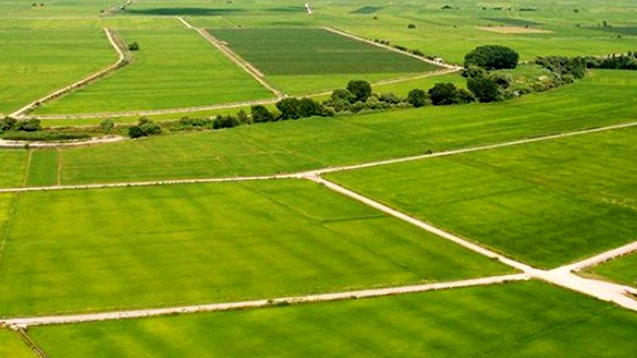 Foto - Türkiye'ye ilan edildi: 35 bin liraya tarla, 52 bin liraya arsa satılacak