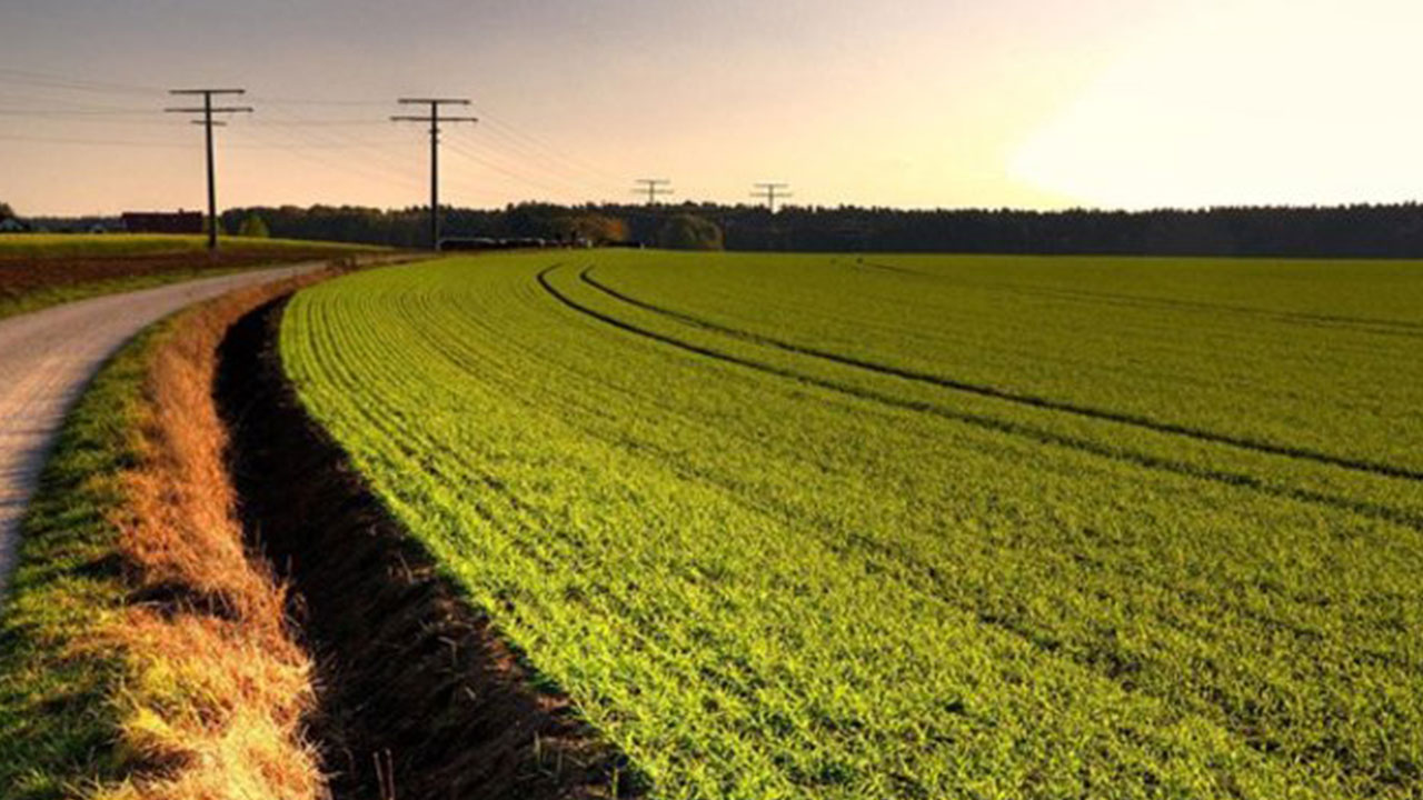 Türkiye'ye ilan edildi: 35 bin liraya tarla, 52 bin liraya arsa satılacak