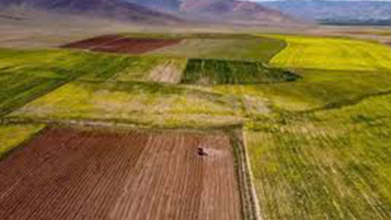 Foto - Türkiye'ye ilan edildi: 35 bin liraya tarla, 52 bin liraya arsa satılacak