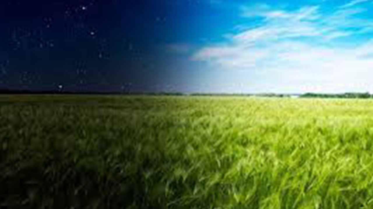 Foto - Türkiye'ye ilan edildi: 35 bin liraya tarla, 52 bin liraya arsa satılacak