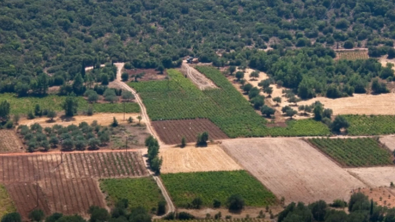 Türkiye'ye ilan edildi: 52 bin liraya imara açık onlarca arsa satılacak