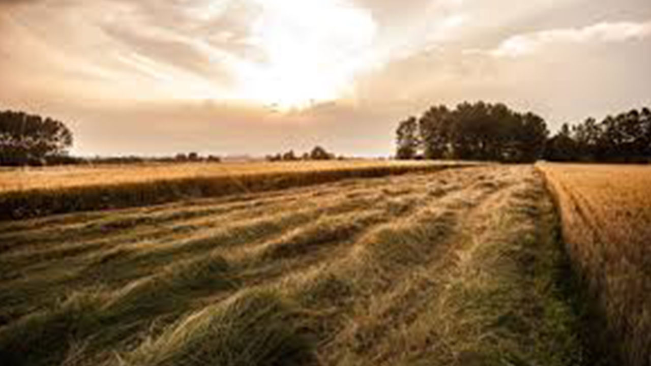 Foto - Türkiye'ye ilan edildi: 52 bin liraya imara açık onlarca arsa satılacak