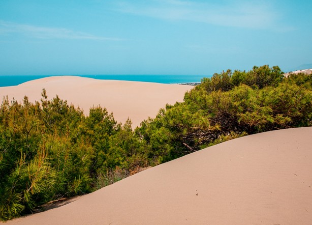 Foto - Türkiye'ye operasyon mu çekiliyor? Yüzde 77,7 zam yapıldı