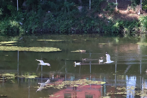 Foto - Türkiye'ye su vermeyi reddeden ülke susuz kaldı! Resmen şoktalar