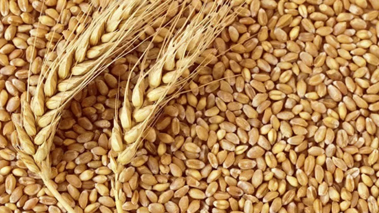 Foto - Türkiye'ye tarihi teklif: Merkez ülke olun!