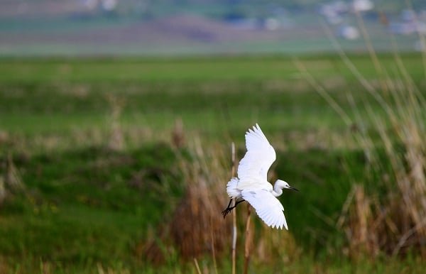 Foto - Türkiye’ye uğramadan rota tamamlanmıyor