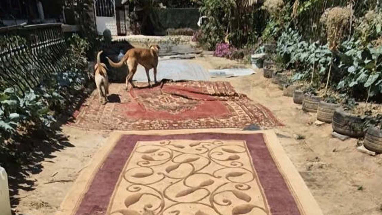 Foto - Türkiye'ye yakışmayan görüntüler: CHP'li belediye yapmadı vatandaş çareyi böyle buldu!